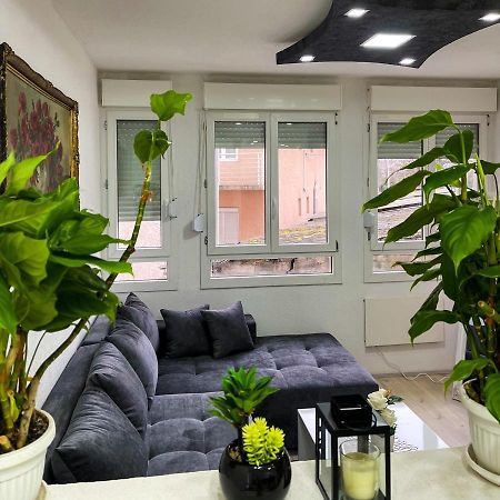Apartment Tatjana Kragujevac Kültér fotó