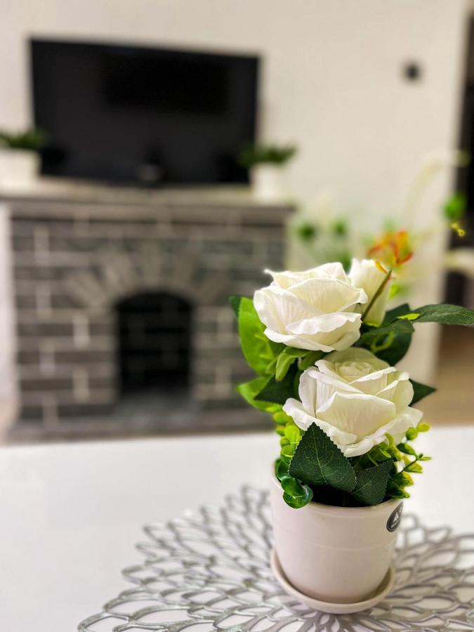 Apartment Tatjana Kragujevac Kültér fotó