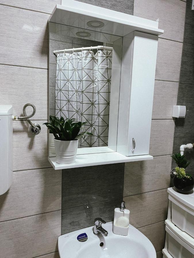 Apartment Tatjana Kragujevac Kültér fotó