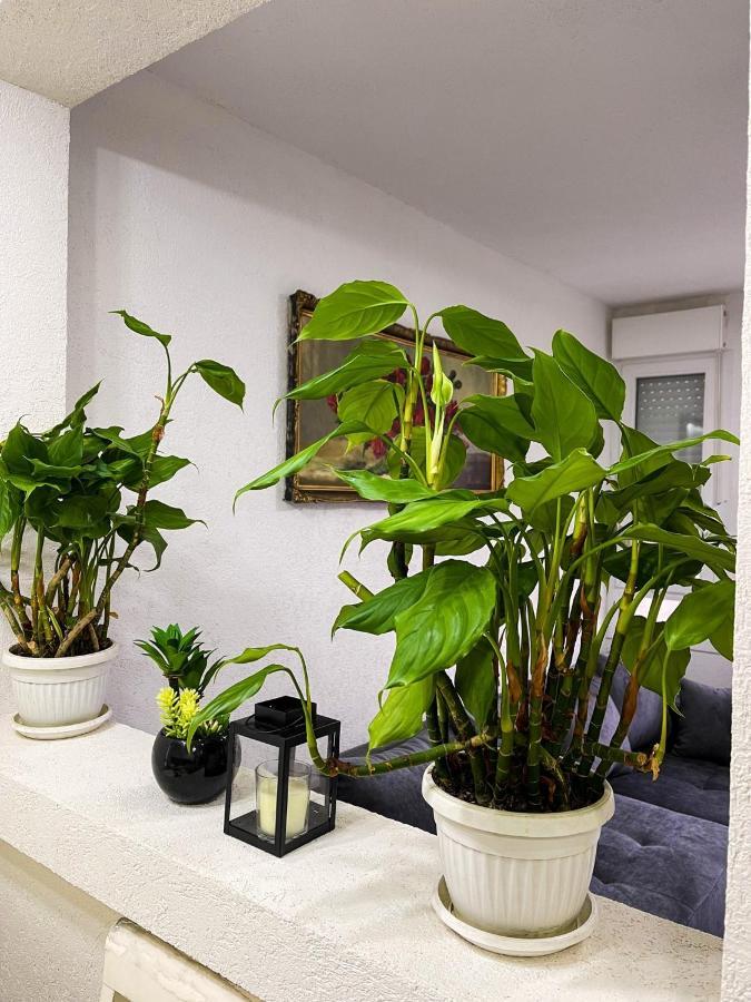 Apartment Tatjana Kragujevac Kültér fotó