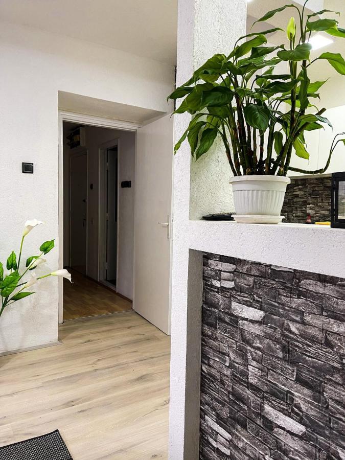 Apartment Tatjana Kragujevac Kültér fotó
