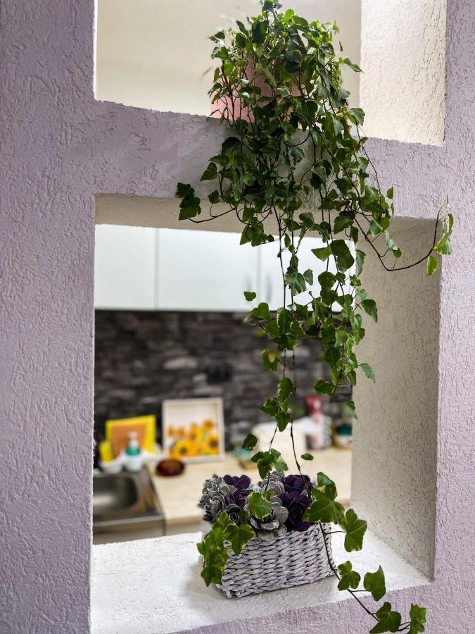 Apartment Tatjana Kragujevac Kültér fotó